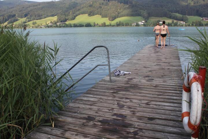 Wunderschoene Ferienwohnung Mit Seeblick Zell am Moos Eksteriør billede