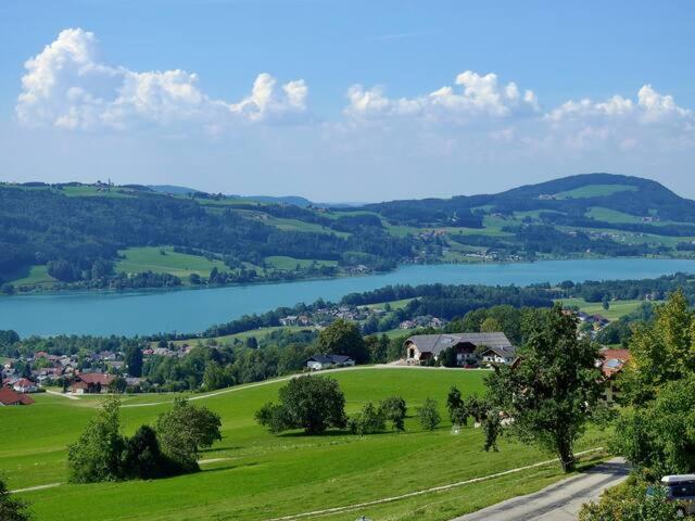Wunderschoene Ferienwohnung Mit Seeblick Zell am Moos Eksteriør billede